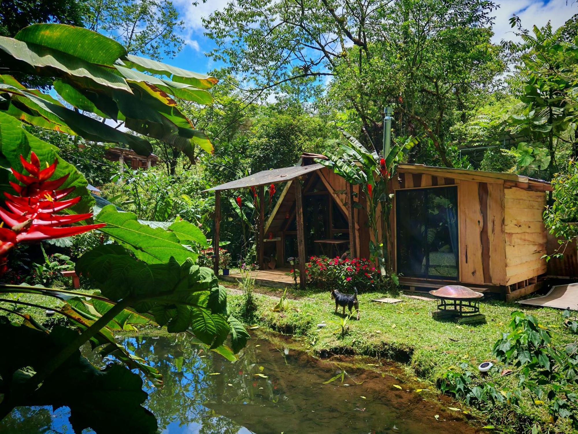 Villa Tipi Maleku Heredia Exterior foto